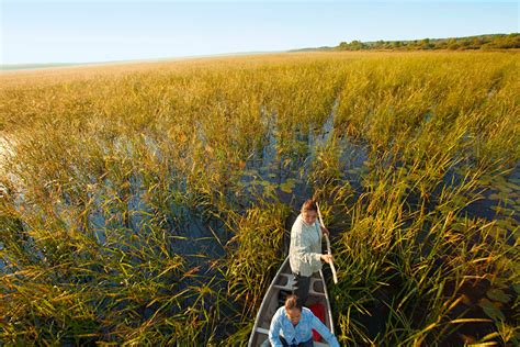 Wild harvest - Sercout Wild Harvest. 2,745 likes · 123 talking about this. Sercout Wild Harvest Born out of a passion for hunting and Nature, believe the best was to a prosperous Wild life is by management ...